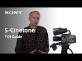 FX9 Guide S-Cinetone | FX9 | Sony