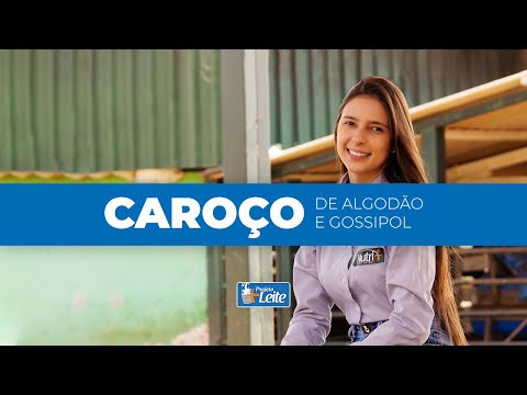 Vídeo: Como o gossipol é produzido?