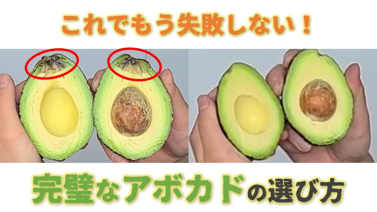 この3つさえ守れば毎回完璧なアボカドを選べます。【追熟加工のプロ・まつこうが伝授】【アボカド好き必見！】