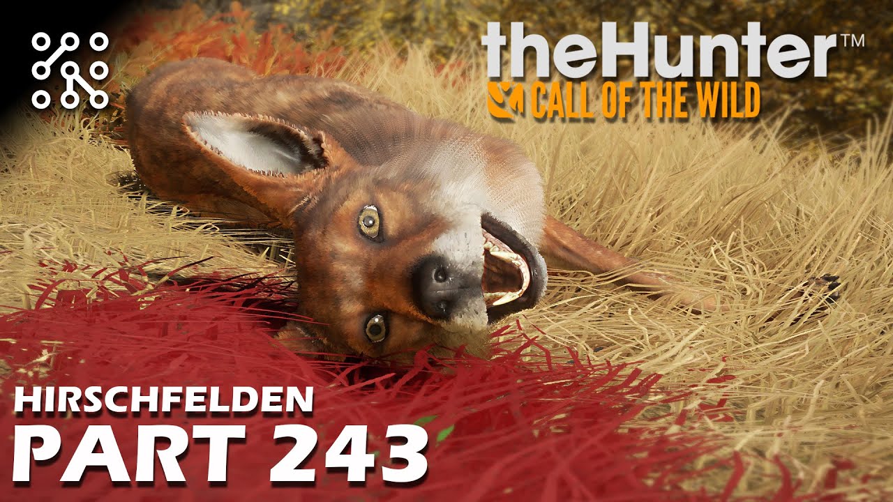 lov s lukem - mise na Laytonu  