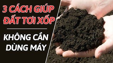 3 cách làm đất tơi xốp tự nhiên – không cần máy móc vẫn hiệu quả bền vững II NGHỀ NÔNG TV