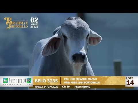 LOTE 14   BELO 3235