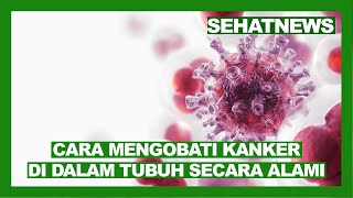 CARA MENGOBATI KANKER DI DALAM TUBUH SECARA ALAMI