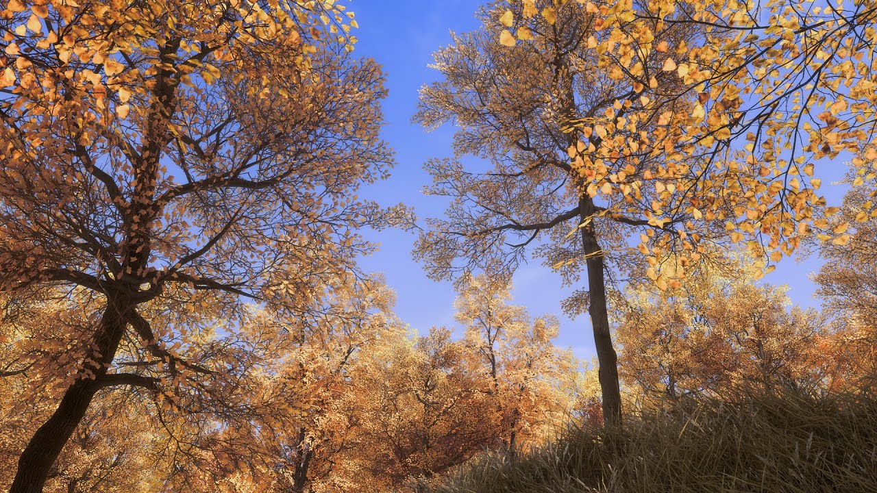 [4K] Skyrim SE 2025 Ultra modded Community Shaders with FinityShade