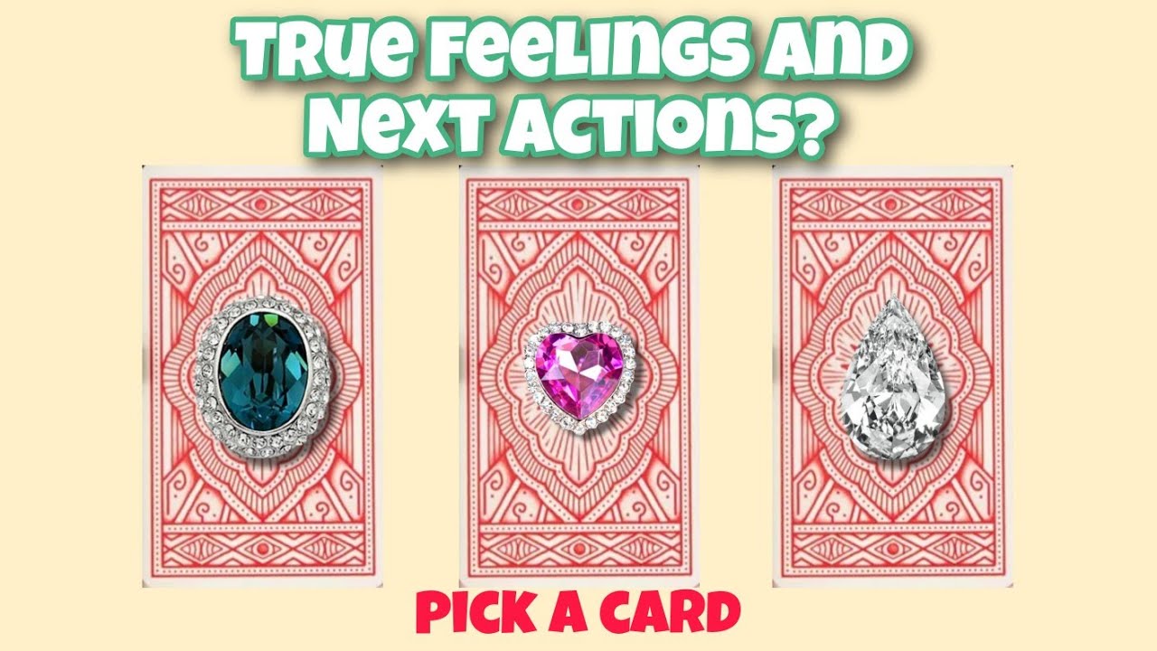 Pick a card: Their True Feelings For You & Next Actions! Timeless Tarot ...