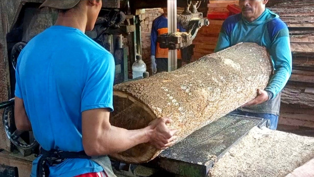 See the action of sawing super large acacia wood in a sawmill ️ ️ - YouTube