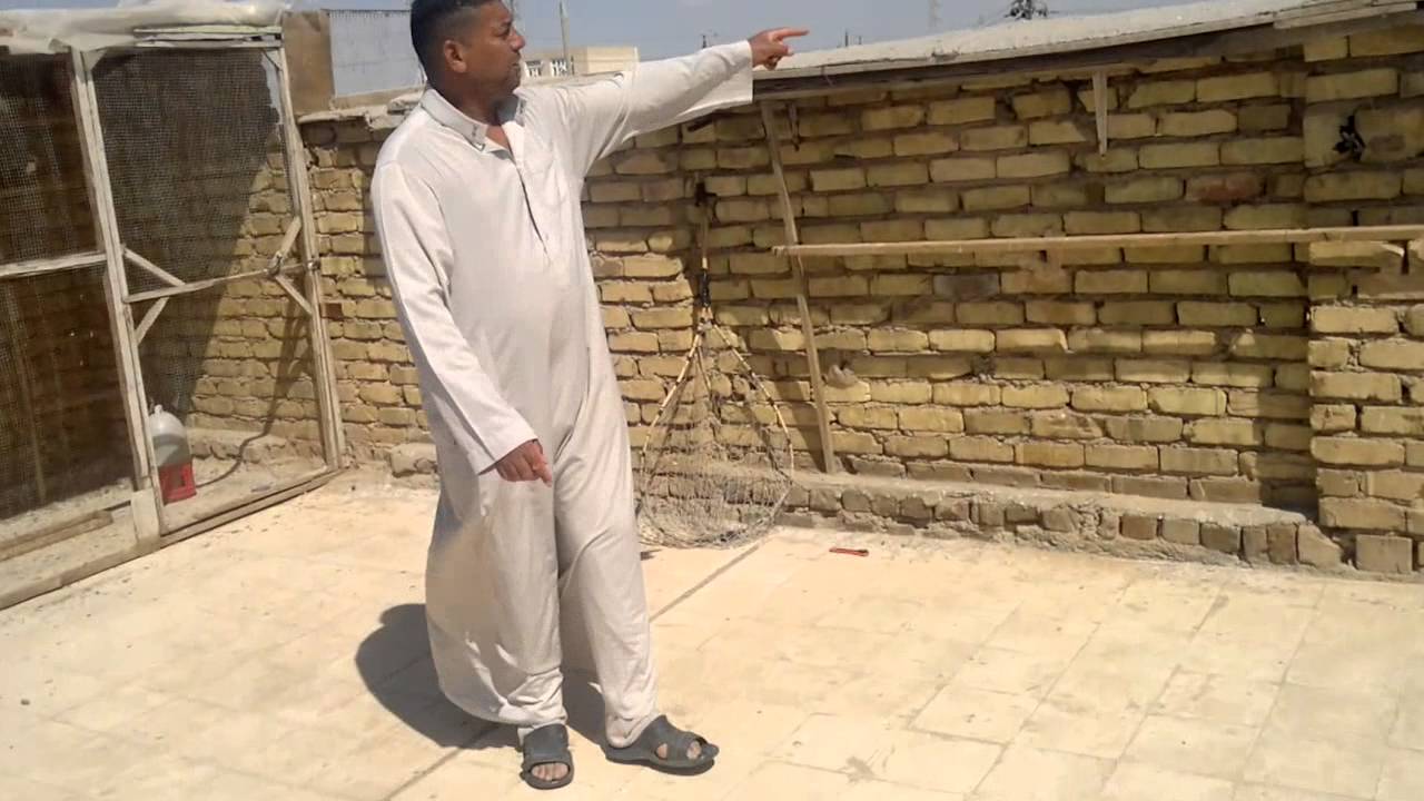 فائز/الكوت/حي الزاهزء