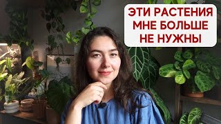 ВИШЛИСТ с растениями СПУСТЯ ГОД / Пересматриваю список РАСТЕНИЙ МЕЧТЫ