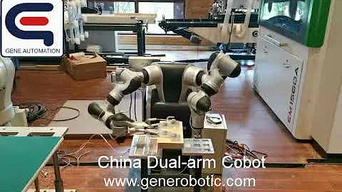 China Dual arm cobot performance  show 2 -by Suzhou GENE Automation
