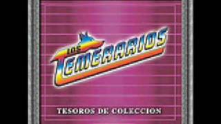 Video thumbnail of "Los Temerarios (Te Quiero Tanto)"
