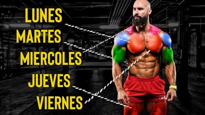 eBooks Kindle: RUTINA DE EJERCICIOS para Hombres. ¡Rutina  lista de Lunes a Viernes en base a 45 minutos!: Moldea tu cuerpo en el GYM  ¡Recomendaciones Detalladas para Entrenarte a tiMismo! (Spanish