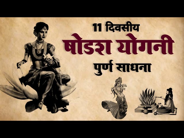 Eng yaxshi qora porno aktrisalar