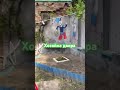 Хозяйка двора