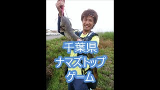 千葉県ナマズトップゲーム２