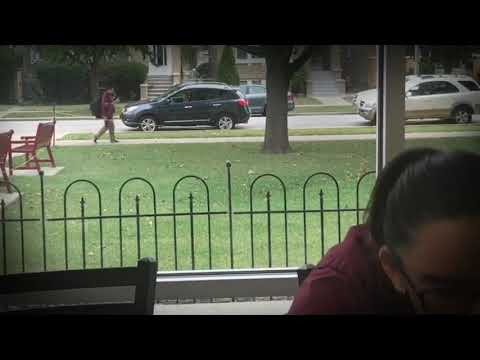 Selective Attention Test