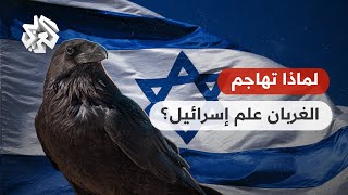 ☝☝ ليست المرة الأولى .. لماذا تهاجم الغربان علم إسرائيل؟ شاهد الفيديو