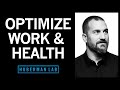 Maximizing Productivity, Physical & Mental Health with Daily Tools | Huberman Lab Podcast #28 image
