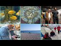 #konyaaltısahili  KAHVALTI√ #aquarium  GEZİMİZ√BACANAĞIMDAN #hamsi  TAVA√HEPSİ MUTFAKTA İŞ BAŞINDA