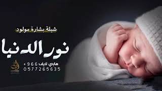 شيلات مواليد جديده || 2023 || اجمل شيله بشارة مولود الاماكن كلها نور الدنيا بدون حقوق || 2023