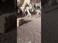 22 جون، 2026