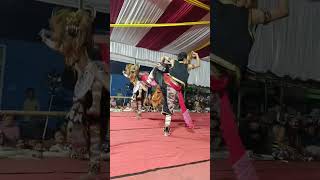 kebo giro warok seb#setoendangbudoyo#seb#vidioshort