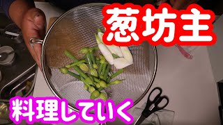 葱坊主で天丼作って食べて優勝した件