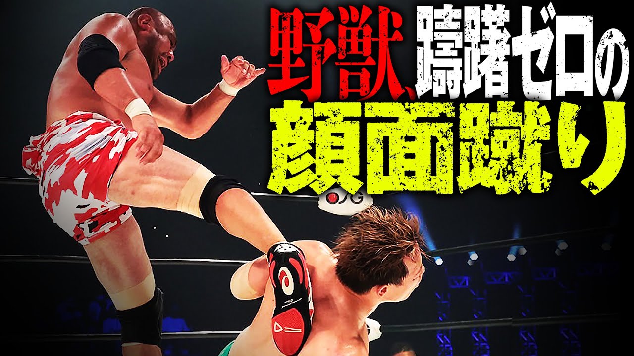 荒ぶる野獣 藤田和之の圧倒的暴力！顔面と体中にエグ過ぎるキック連打