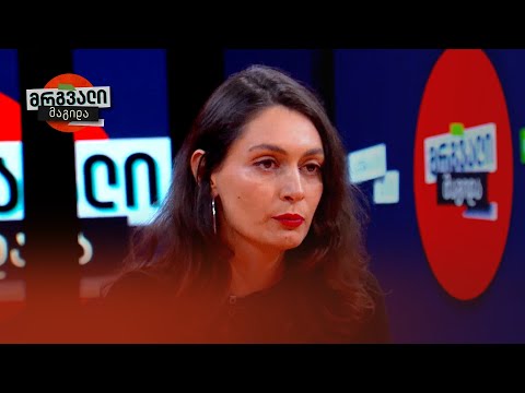 იმაზე მეტი ცხოველი მრავლდება ქვეყანაში, ვიდრე მისი აყვანის მსურველია — ნათია ჩიქოვანი