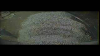Shred Truck  dump_CH04_000_720x240.avi