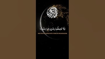 آية الكرسي - طلحة علوي | #القرآن_الكريم #آية_الكرسي #طلحة_علوي #تلاوه #تلاوة_خاشعة