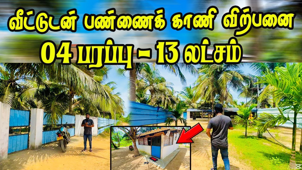 வீட்டுடன் தென்னந்தோப்பு காணி விற்பனைக்கு -03 ஏக்கர் வரை வாங்கலாம்|எல்லா வசதிகளும் #jaffna #landsale