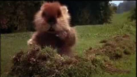 Caddyshack Gopher