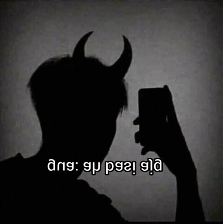 Ah basi anjing || Story Wa Bullshit