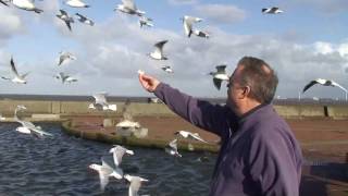 Graham's story