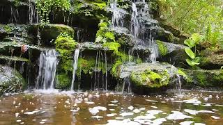 BEST JUNGLE WATER FALL/VERY NICE SONG BEAT-SLEEPING screenshot 3