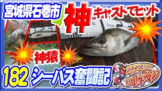 【シーバス奮闘記182】神キャストでヒット彡神猿とでも呼んで【六助ポイント】