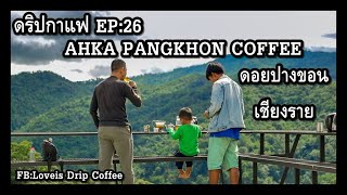 ดริปกาแฟ EP:26 AKHA PANGKHON COFFEE ดอยปางขอน เชียงราย