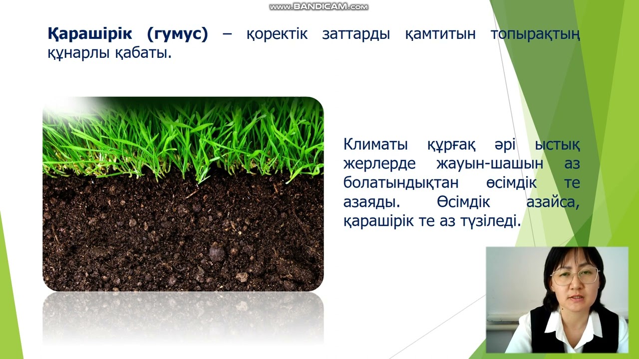 Канатбекова Г А. 