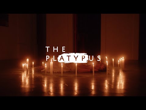 Falquez - The Platypus
