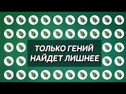 Тест для самых внимательных! Найди лишнее на картинке • Только гений справится