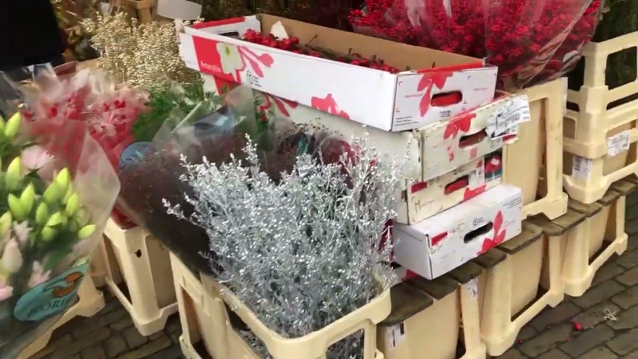 Christmas market/Gouda, The Netherlands