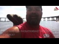 Смешное видео: морской котик решил познакомиться с человеком