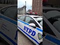New-York City Police Cars