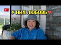Любовь у волнистиков Новый ошейник Кнопику и снова огородные дела 