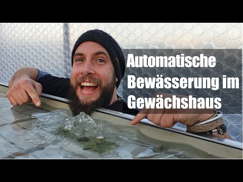 Video: Info zur Belüftung des Gewächshauses - Steuerung der Gewächshaustemperaturen