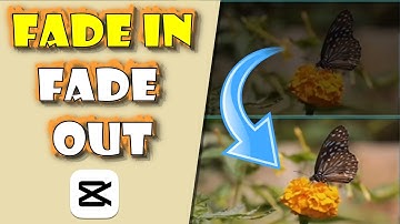 Efeitos Fade In e Fade Out no Capcut PELO CELULAR