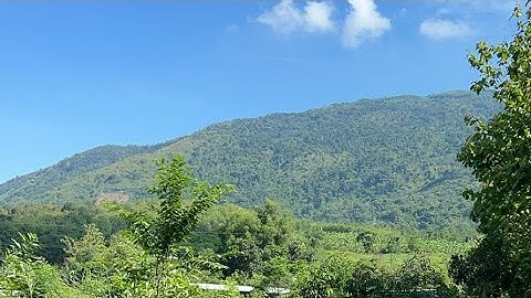 Hải  Nguyễn Bđs đang phát trực tiếp! Xã Xuân hiệp huyện Xuân Lộc đồng Nai bán lô đất 2 sào đất Hồng