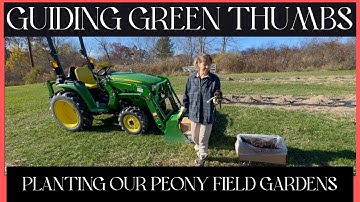 PLANTING OUR PEONY FIELD GARDENS