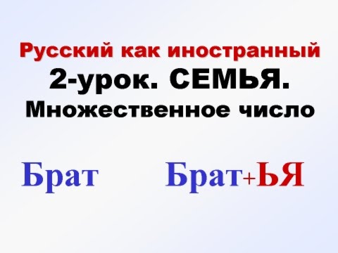 РКИ Семья-2. Единственное и множественное число. Русский язык для начинающих