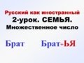 РКИ Семья-2. Единственное и множественное число. Русский язык для начинающих